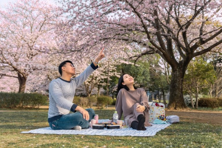 Run Hanami O HANAMI, DARI TRADISI HINGGA MENJADI PENGALAMAN WISATA IKONIK DI ...