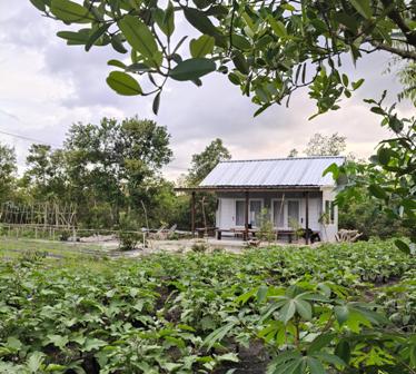 LUPAKAN STRES, RASAKAN SLOW LIVING DI ARKANA HUIS, BELITUNG
